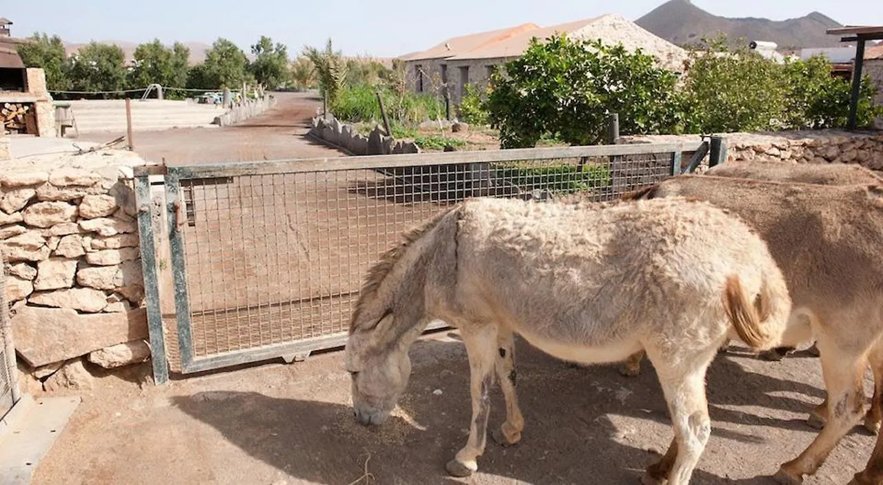 Landhuis Agroturismo La Gayria Tiscamanita