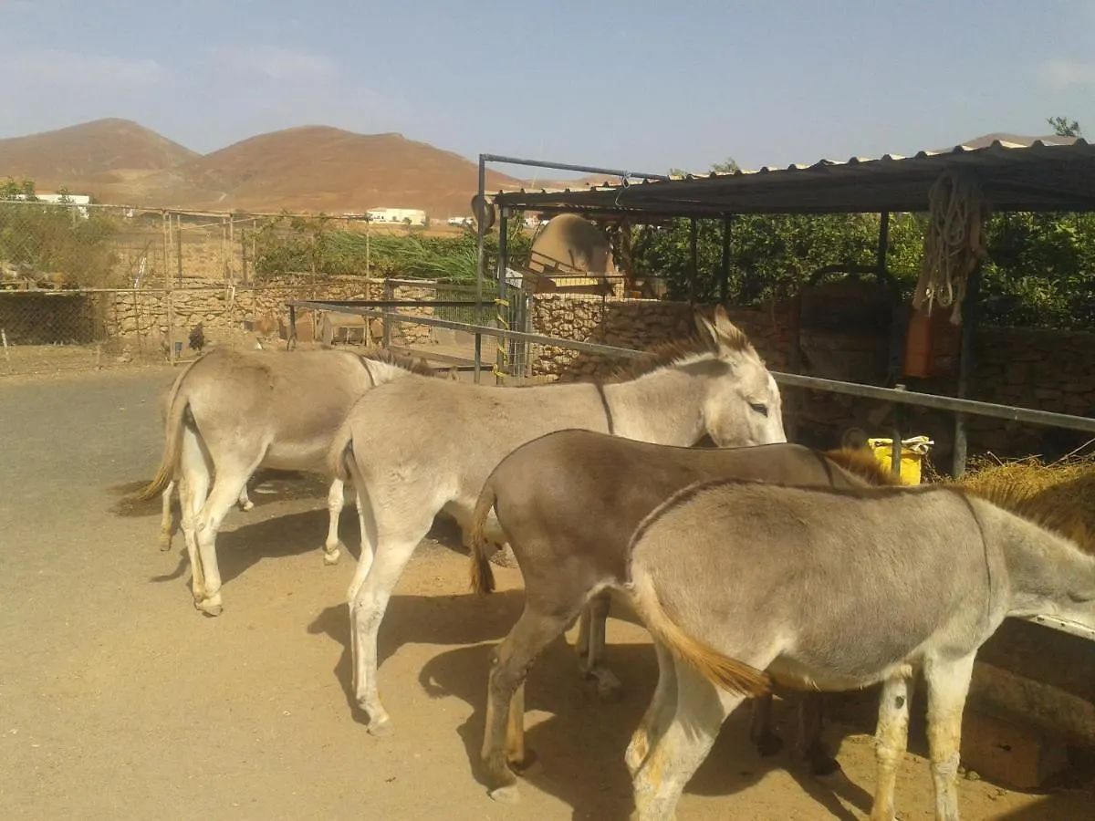 Agroturismo La Gayria Tiscamanita Spain
