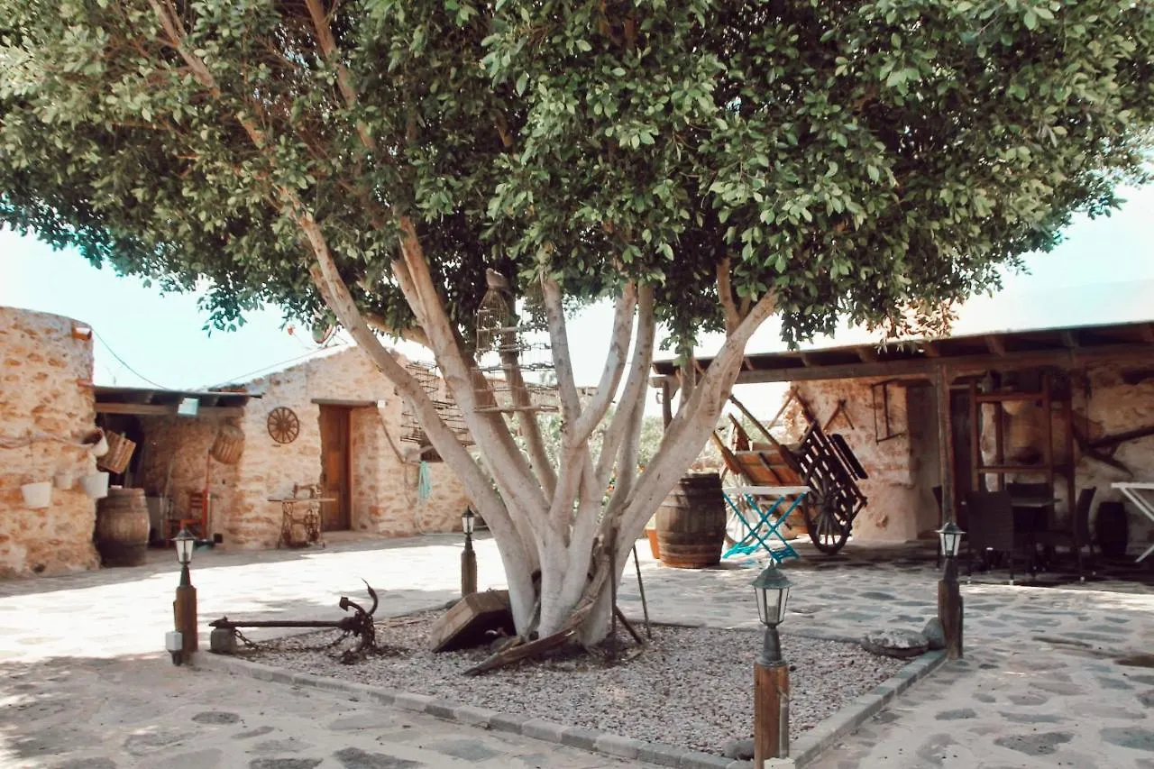 Country house Agroturismo La Gayria Tiscamanita